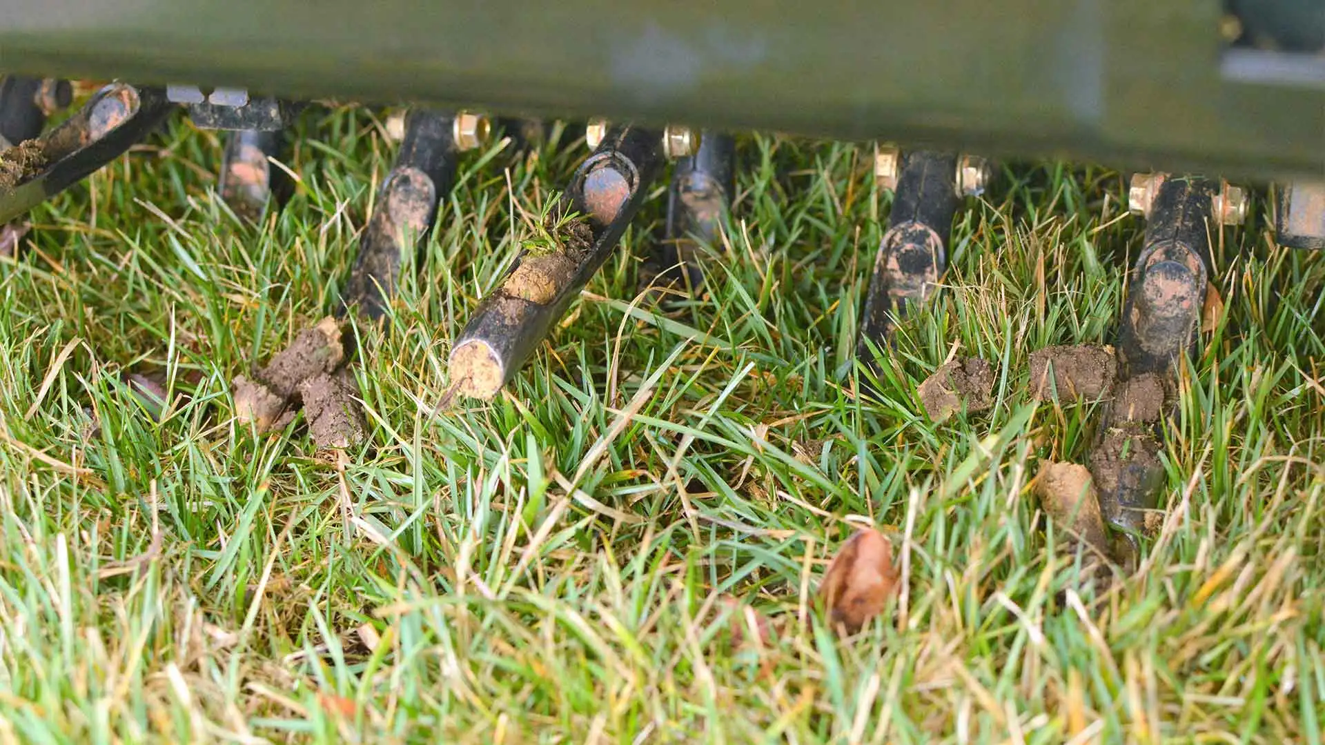 Core aeration machine working on a lawn