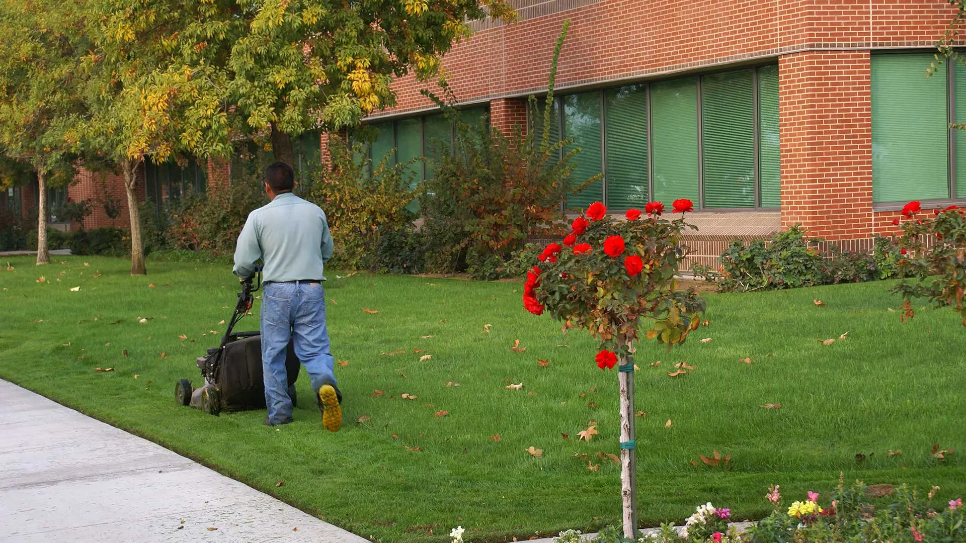 Commercial grounds maintenance in Hamilton County IN