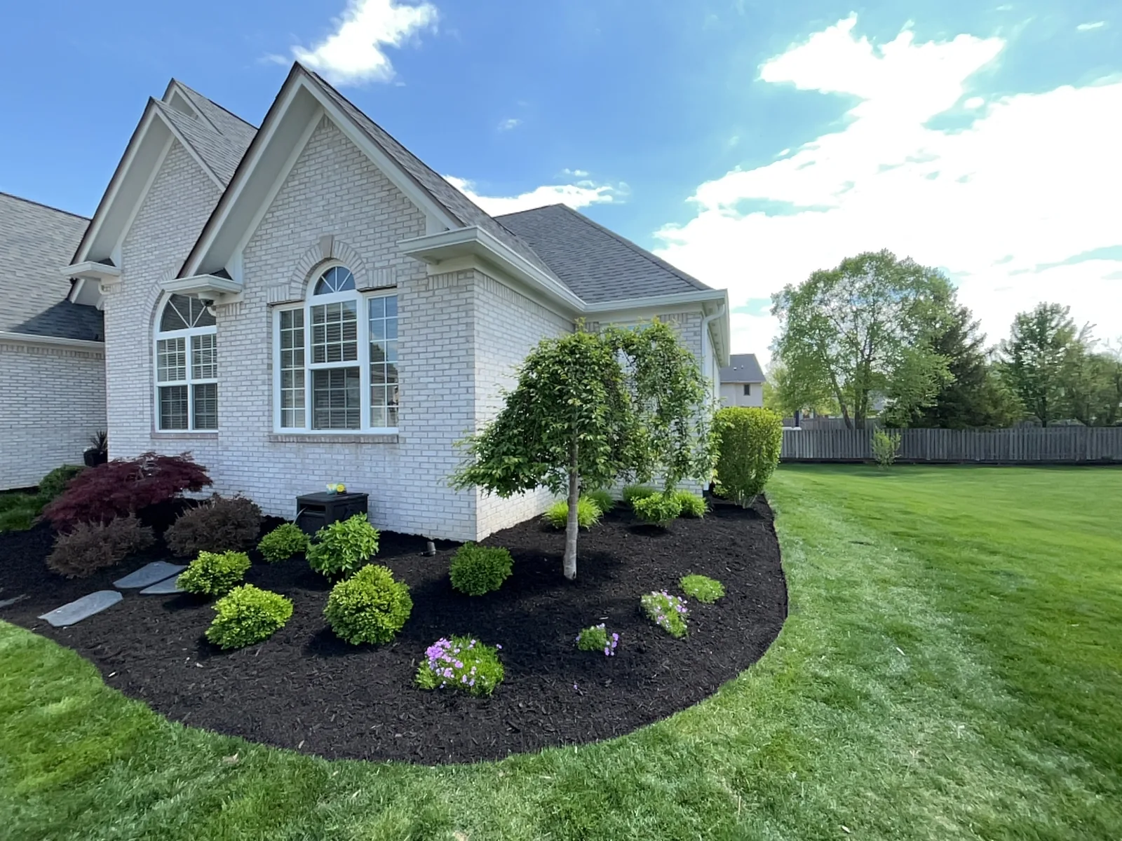 Carmel front bed after Sprout's bed renovation, fresh black mulch with new shrubs and weeping ornamental tree