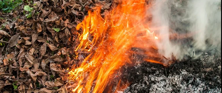 Burning leaf pile on a lawn causing damage