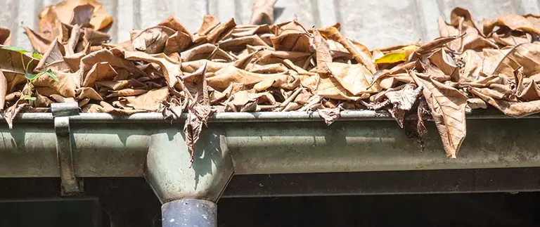 Clogged gutter full of leaves and debris