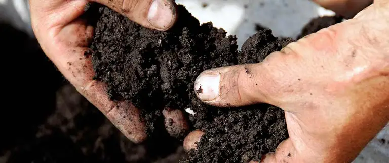 Hands holding rich dark topsoil