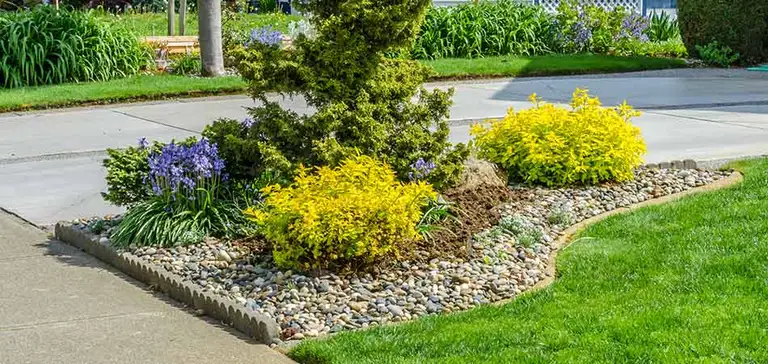 Shaded landscape bed area under mature trees