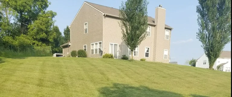 Thick healthy lawn maintained at a taller mowing height