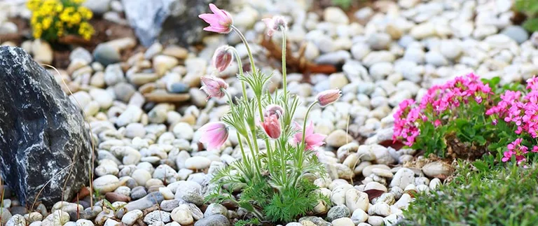 River rock ground cover in a landscape bed