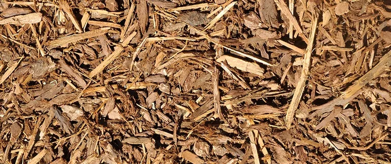 Shredded mulch in a landscape bed