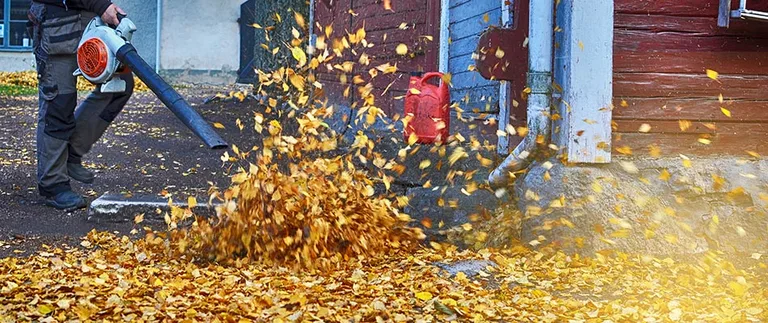 Blowing fall leaves off a property
