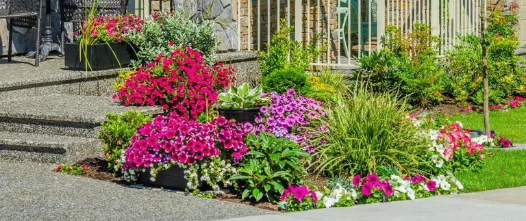Colorful plants in weed-free landscape beds
