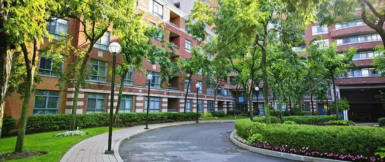 Maintained commercial property grounds