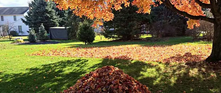 Fall leaf removal in Fortville