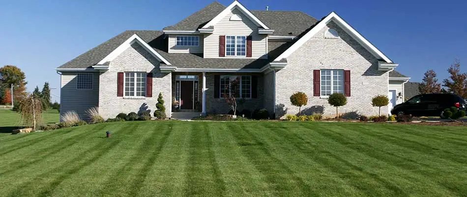 Fresh mowing stripes on a residential lawn