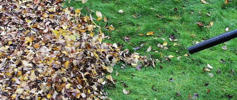 Leaves being blown off a landscape during spring cleanup