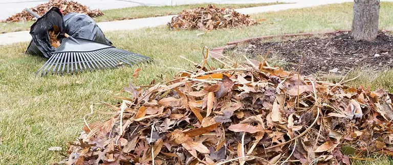 Leaves gathered for removal from a property