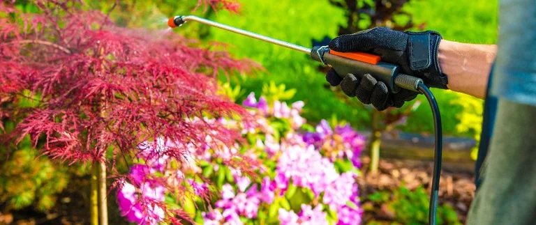 Professional applying targeted weed treatment in landscape bed