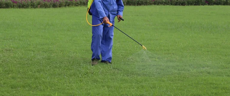 Professional applying measured fertilizer treatment to a lawn