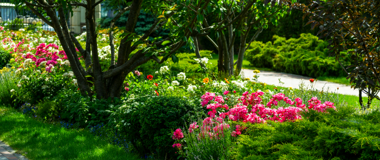 Professional landscaping with trees and flowering plants