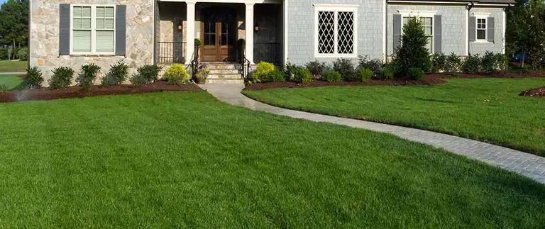 Well-fertilized green front lawn in Carmel IN