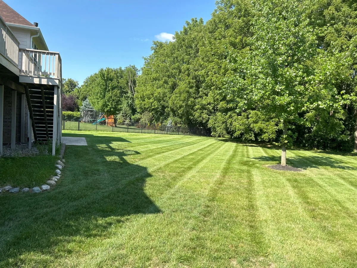 Freshly mowed backyard lawn with deck