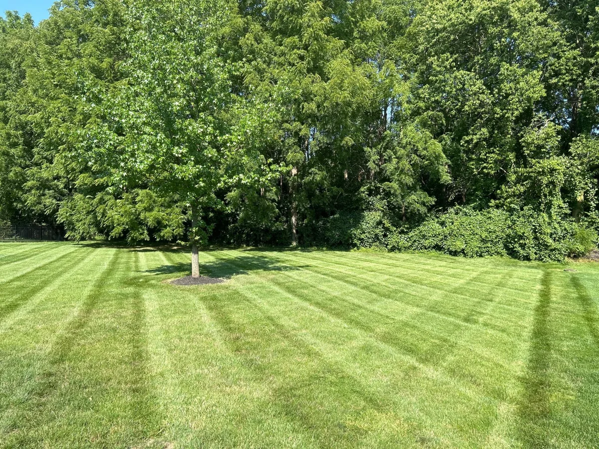 Backyard mowing with precision around trees