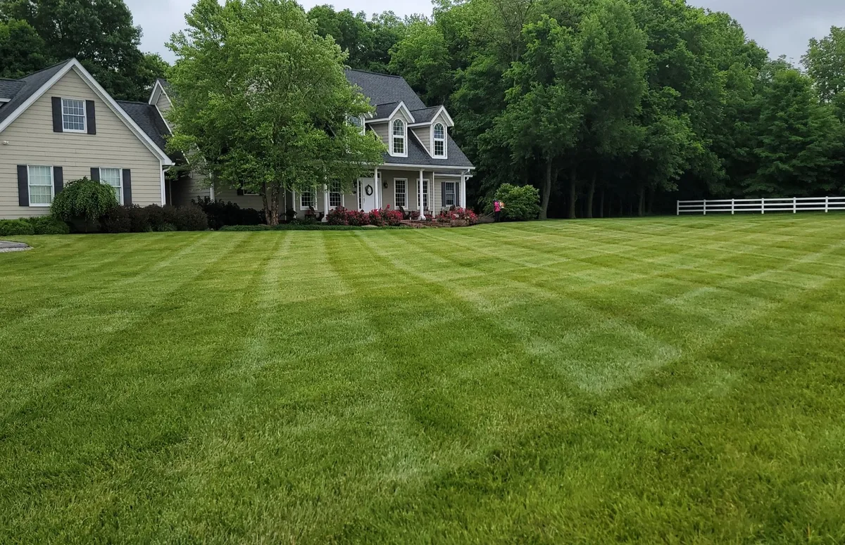 Large residential lawn freshly mowed in Noblesville