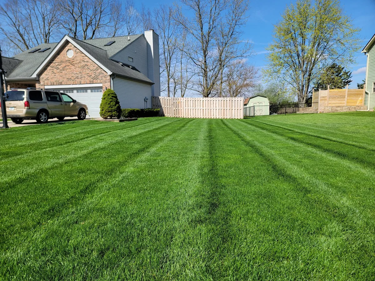 Backyard lawn with clean mowing stripes