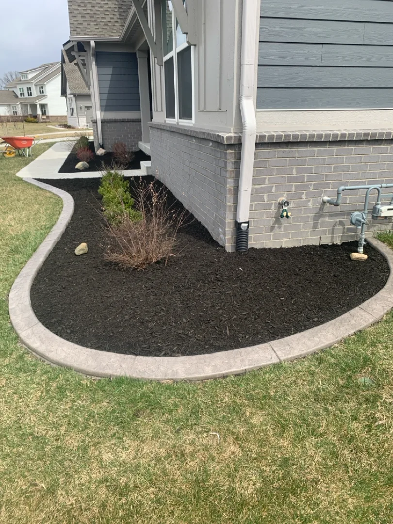 Fresh dark mulch with decorative concrete curbing edge