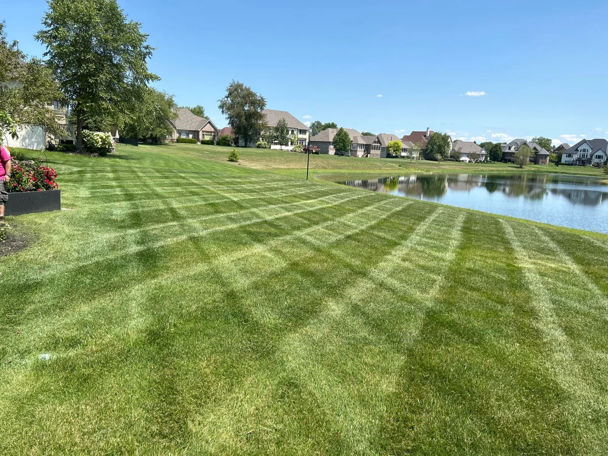 Crosshatch mowing pattern on a lawn by a pond