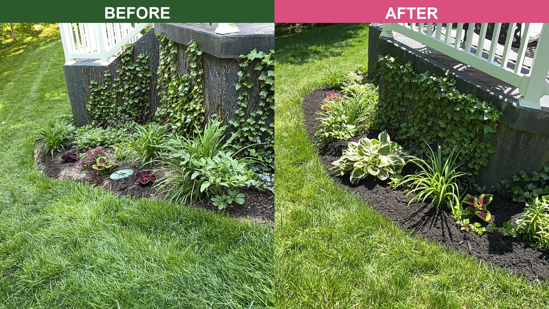 Before and after of a Carmel mulch installation around a backyard deck bed with hostas and coleus