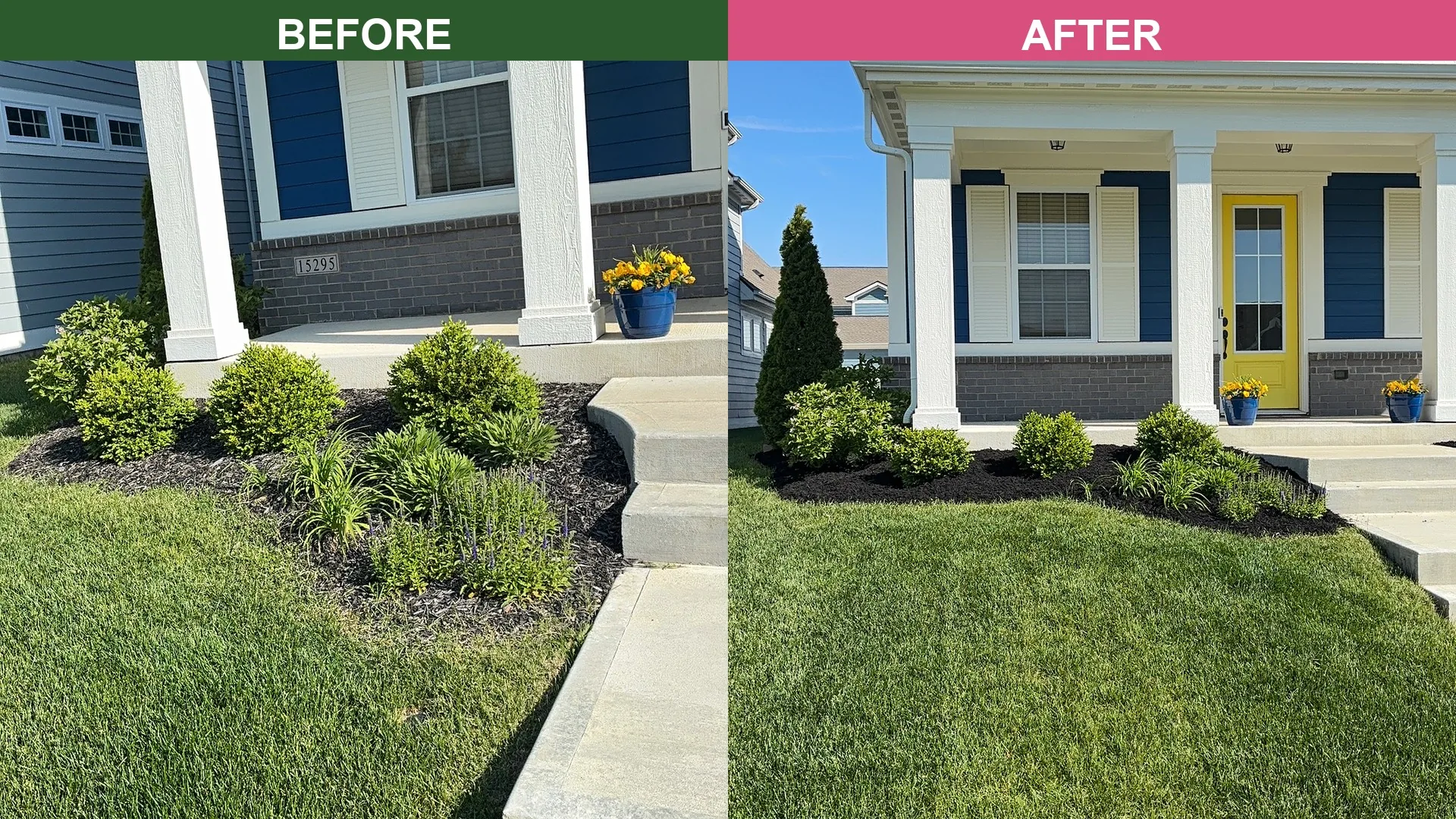 Before and after of a McCordsville mulch installation around a home with yellow front door and shaped shrubs