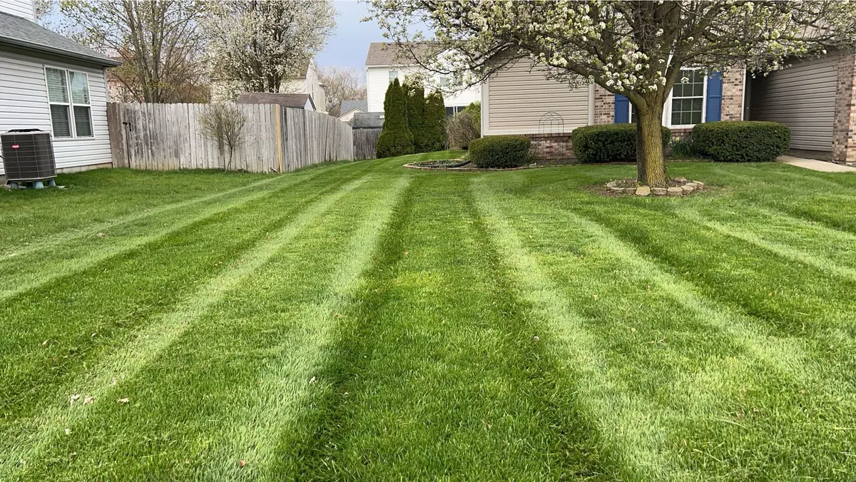 Diagonal mowing stripes on a backyard lawn in Hamilton County