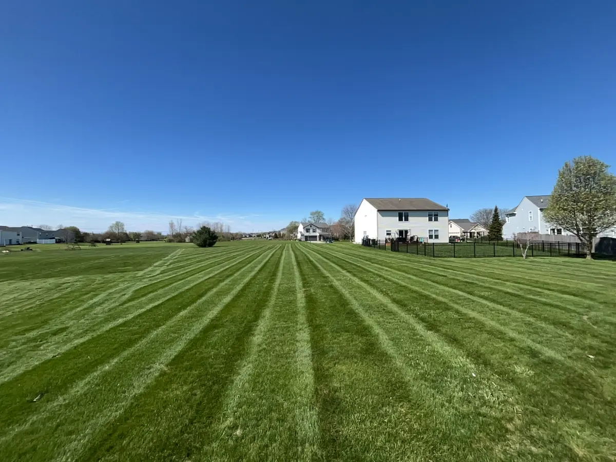 Large backyard with straight mowing stripes in Hamilton County Indiana